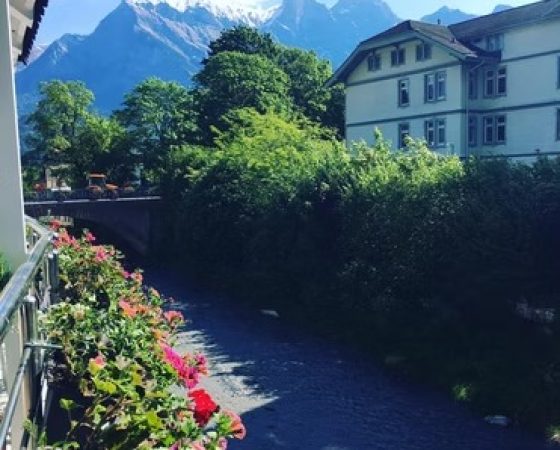 imgi_32_6e5cd8_53645020a8ad4034afb3bfe8b8aa4160~mv2