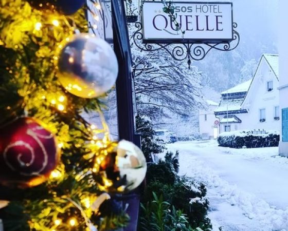 imgi_35_6e5cd8_828369fa133d4f918d0c3033ef04e015~mv2